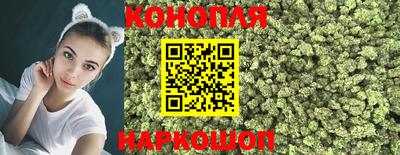 гидра Будённовск