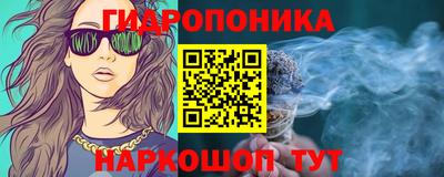 гидра Будённовск
