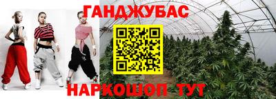 гидра Будённовск