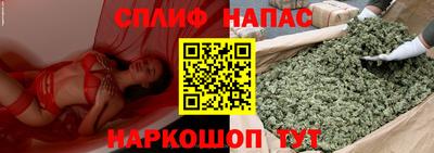 гидра Будённовск