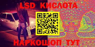 гидра Будённовск