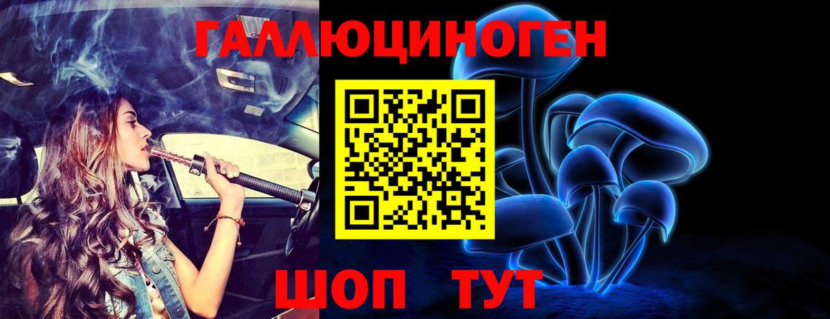 Котлас  Галлюциногенные грибы мицелий  Вход с VPN 